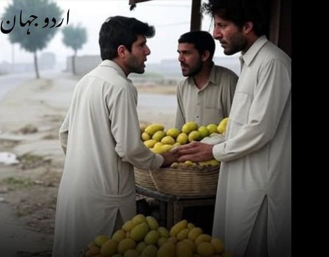 30 روپے کے جھگڑے پر دو بھائی قتل​