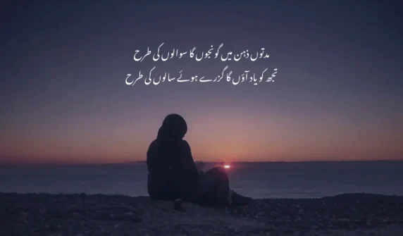 مدتوں ذہن میں گونجوں گا سوالوں کی طرح  تجھ کو یاد آؤں گا گزرے ہوئے سالوں کی طرح