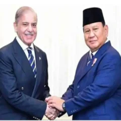 پاکستان اور انڈونیشیا