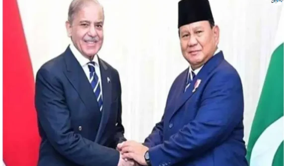 پاکستان اور انڈونیشیا