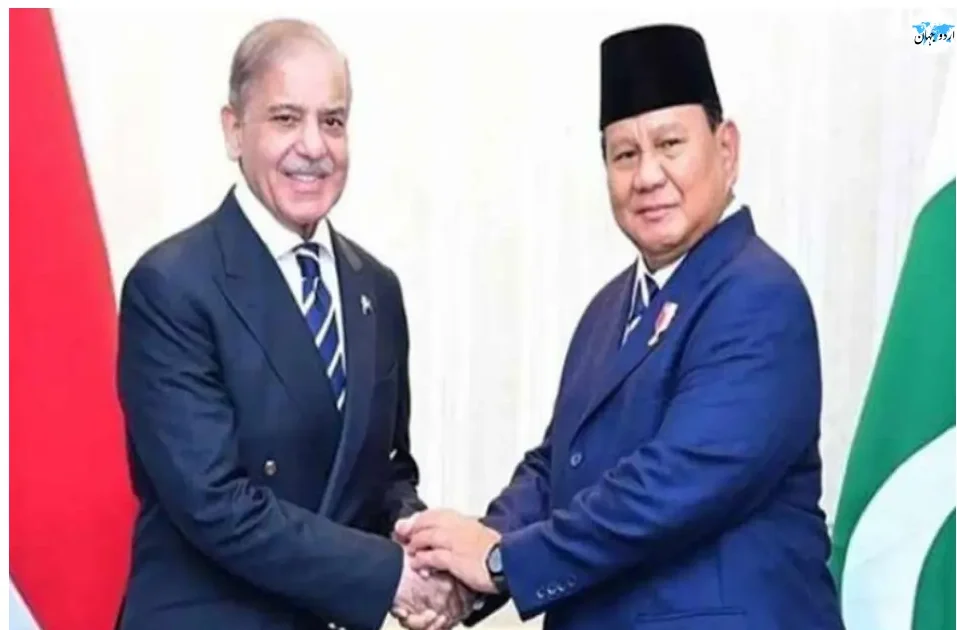 پاکستان اور انڈونیشیا